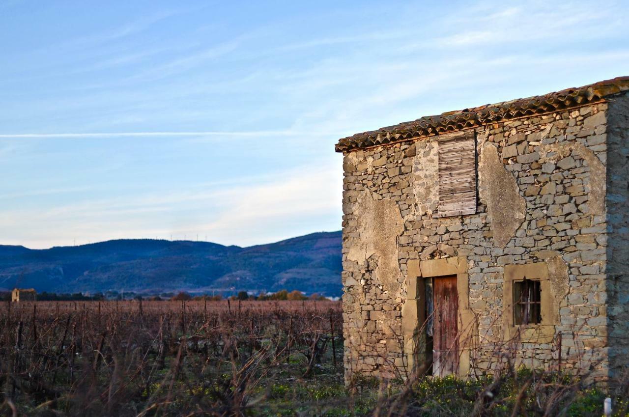 Maison de Margot - villa avec piscine Peyriac-Minervois Extérieur photo